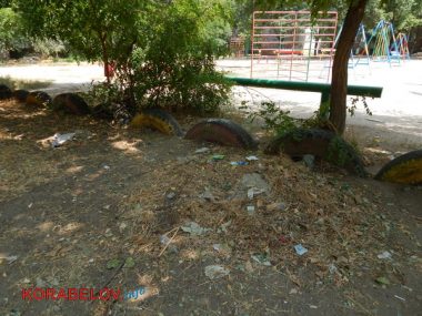 Коммунальщикам в Корабельном районе советуют не ждать осени и уже убирать опавшую листву, но те не торопятся (Видео) | Корабелов.ИНФО image 1