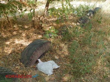 Коммунальщикам в Корабельном районе советуют не ждать осени и уже убирать опавшую листву, но те не торопятся (Видео) | Корабелов.ИНФО image 3