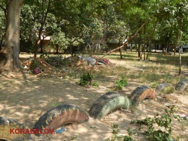 Коммунальщикам в Корабельном районе советуют не ждать осени и уже убирать опавшую листву, но те не торопятся (Видео) | Корабелов.ИНФО image 4