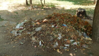 Коммунальщикам в Корабельном районе советуют не ждать осени и уже убирать опавшую листву, но те не торопятся (Видео) | Корабелов.ИНФО image 5