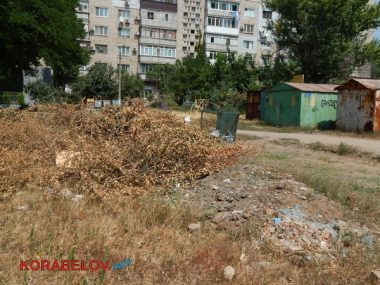 Коммунальщикам в Корабельном районе советуют не ждать осени и уже убирать опавшую листву, но те не торопятся (Видео) | Корабелов.ИНФО image 7