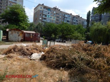 Коммунальщикам в Корабельном районе советуют не ждать осени и уже убирать опавшую листву, но те не торопятся (Видео) | Корабелов.ИНФО image 8