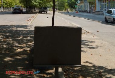 Коммунальщикам в Корабельном районе советуют не ждать осени и уже убирать опавшую листву, но те не торопятся (Видео) | Корабелов.ИНФО image 10