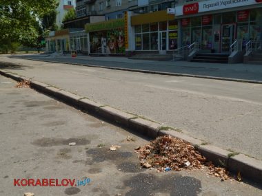 Коммунальщикам в Корабельном районе советуют не ждать осени и уже убирать опавшую листву, но те не торопятся (Видео) | Корабелов.ИНФО image 11