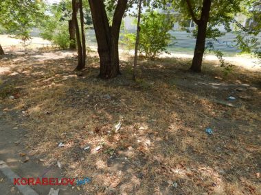 Коммунальщикам в Корабельном районе советуют не ждать осени и уже убирать опавшую листву, но те не торопятся (Видео) | Корабелов.ИНФО image 13