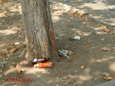 Коммунальщикам в Корабельном районе советуют не ждать осени и уже убирать опавшую листву, но те не торопятся (Видео) | Корабелов.ИНФО image 15