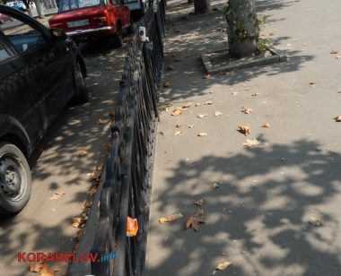 Коммунальщикам в Корабельном районе советуют не ждать осени и уже убирать опавшую листву, но те не торопятся (Видео) | Корабелов.ИНФО image 16