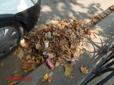Коммунальщикам в Корабельном районе советуют не ждать осени и уже убирать опавшую листву, но те не торопятся (Видео) | Корабелов.ИНФО image 18