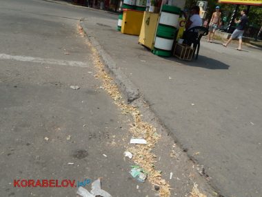 Коммунальщикам в Корабельном районе советуют не ждать осени и уже убирать опавшую листву, но те не торопятся (Видео) | Корабелов.ИНФО image 20