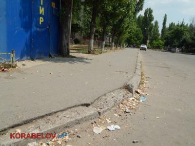 Коммунальщикам в Корабельном районе советуют не ждать осени и уже убирать опавшую листву, но те не торопятся (Видео) | Корабелов.ИНФО image 21