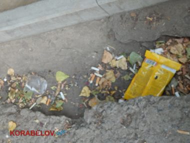 Коммунальщикам в Корабельном районе советуют не ждать осени и уже убирать опавшую листву, но те не торопятся (Видео) | Корабелов.ИНФО image 23