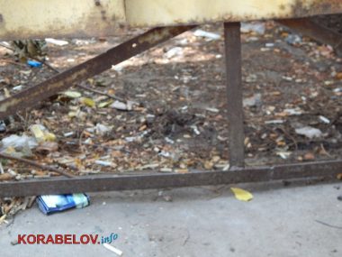 Коммунальщикам в Корабельном районе советуют не ждать осени и уже убирать опавшую листву, но те не торопятся (Видео) | Корабелов.ИНФО image 24