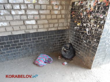 Состояние некоторых школьных дворов в Корабельном районе Николаева шокирует жителей (Видео) | Корабелов.ИНФО image 1