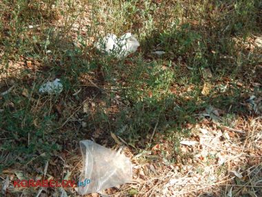 Состояние некоторых школьных дворов в Корабельном районе Николаева шокирует жителей (Видео) | Корабелов.ИНФО image 4