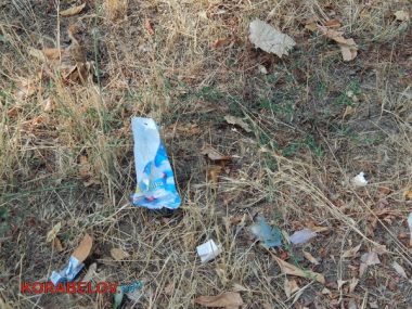 Состояние некоторых школьных дворов в Корабельном районе Николаева шокирует жителей (Видео) | Корабелов.ИНФО image 5