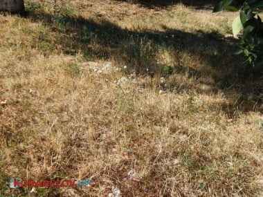 Состояние некоторых школьных дворов в Корабельном районе Николаева шокирует жителей (Видео) | Корабелов.ИНФО image 6