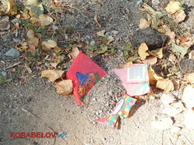 Состояние некоторых школьных дворов в Корабельном районе Николаева шокирует жителей (Видео) | Корабелов.ИНФО image 7