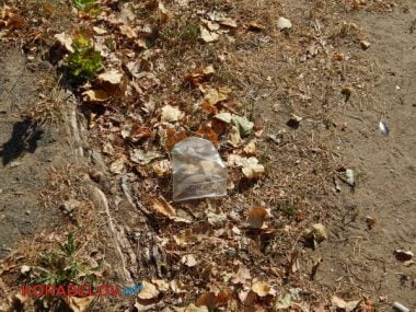 Состояние некоторых школьных дворов в Корабельном районе Николаева шокирует жителей (Видео) | Корабелов.ИНФО image 8