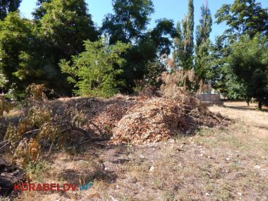 Состояние некоторых школьных дворов в Корабельном районе Николаева шокирует жителей (Видео) | Корабелов.ИНФО image 19