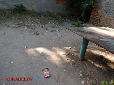 Состояние некоторых школьных дворов в Корабельном районе Николаева шокирует жителей (Видео) | Корабелов.ИНФО image 22
