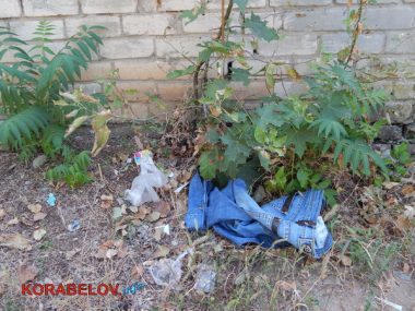 Состояние некоторых школьных дворов в Корабельном районе Николаева шокирует жителей (Видео) | Корабелов.ИНФО image 24