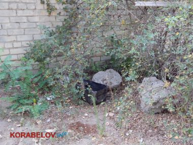 Состояние некоторых школьных дворов в Корабельном районе Николаева шокирует жителей (Видео) | Корабелов.ИНФО image 25