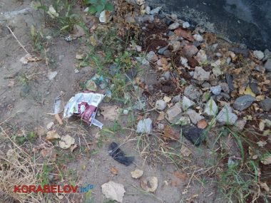 Состояние некоторых школьных дворов в Корабельном районе Николаева шокирует жителей (Видео) | Корабелов.ИНФО image 26