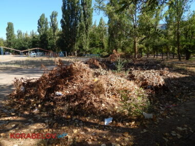 Состояние некоторых школьных дворов в Корабельном районе Николаева шокирует жителей (Видео) | Корабелов.ИНФО image 28