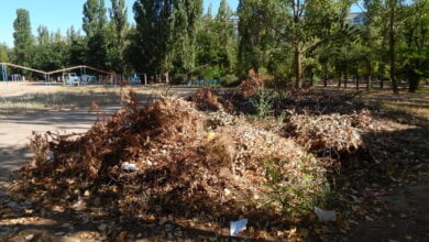 Состояние некоторых школьных дворов в Корабельном районе Николаева шокирует жителей (Видео) | Корабелов.ИНФО image 28