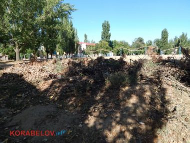 Состояние некоторых школьных дворов в Корабельном районе Николаева шокирует жителей (Видео) | Корабелов.ИНФО image 29