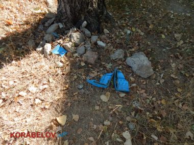 Состояние некоторых школьных дворов в Корабельном районе Николаева шокирует жителей (Видео) | Корабелов.ИНФО image 30