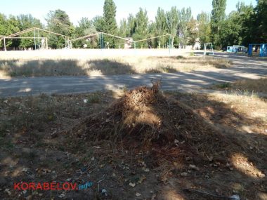 Состояние некоторых школьных дворов в Корабельном районе Николаева шокирует жителей (Видео) | Корабелов.ИНФО image 31