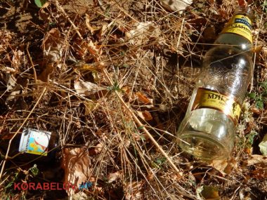 Состояние некоторых школьных дворов в Корабельном районе Николаева шокирует жителей (Видео) | Корабелов.ИНФО image 35