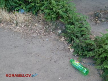 Состояние некоторых школьных дворов в Корабельном районе Николаева шокирует жителей (Видео) | Корабелов.ИНФО image 37