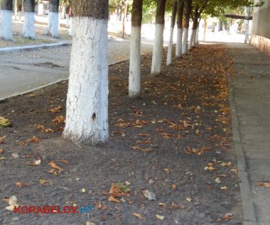 Состояние некоторых школьных дворов в Корабельном районе Николаева шокирует жителей (Видео) | Корабелов.ИНФО image 59