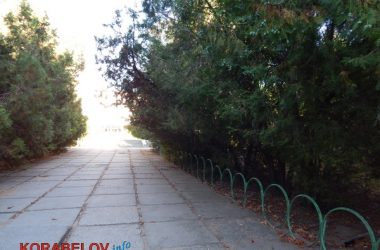 Состояние некоторых школьных дворов в Корабельном районе Николаева шокирует жителей (Видео) | Корабелов.ИНФО image 39