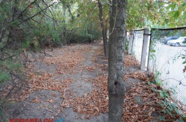 Состояние некоторых школьных дворов в Корабельном районе Николаева шокирует жителей (Видео) | Корабелов.ИНФО image 40