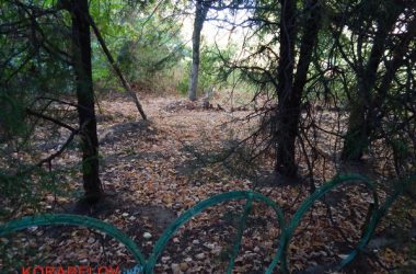 Состояние некоторых школьных дворов в Корабельном районе Николаева шокирует жителей (Видео) | Корабелов.ИНФО image 41