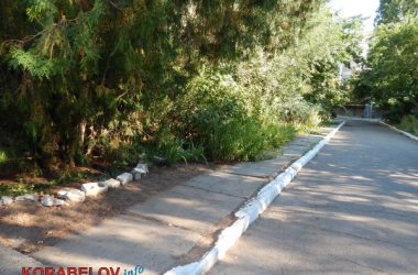 Состояние некоторых школьных дворов в Корабельном районе Николаева шокирует жителей (Видео) | Корабелов.ИНФО image 43