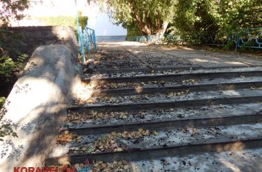 Состояние некоторых школьных дворов в Корабельном районе Николаева шокирует жителей (Видео) | Корабелов.ИНФО image 44