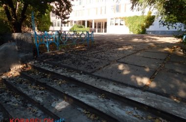 Состояние некоторых школьных дворов в Корабельном районе Николаева шокирует жителей (Видео) | Корабелов.ИНФО image 45