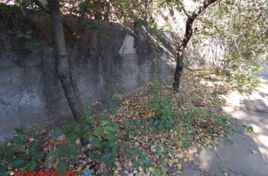 Состояние некоторых школьных дворов в Корабельном районе Николаева шокирует жителей (Видео) | Корабелов.ИНФО image 47