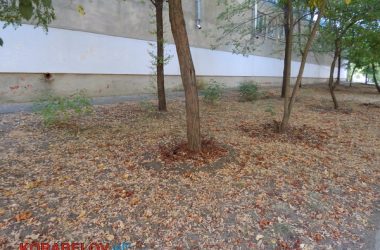 Состояние некоторых школьных дворов в Корабельном районе Николаева шокирует жителей (Видео) | Корабелов.ИНФО image 50