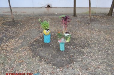 Состояние некоторых школьных дворов в Корабельном районе Николаева шокирует жителей (Видео) | Корабелов.ИНФО image 51