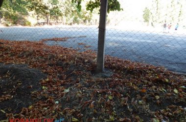 Состояние некоторых школьных дворов в Корабельном районе Николаева шокирует жителей (Видео) | Корабелов.ИНФО image 52