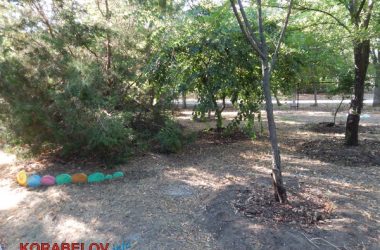 Состояние некоторых школьных дворов в Корабельном районе Николаева шокирует жителей (Видео) | Корабелов.ИНФО image 55