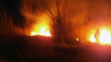 В Балабанівському урочищі двічі за тиждень гасили пожежі | Корабелов.ИНФО