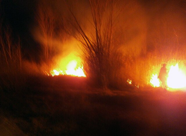 В Балабанівському урочищі  двічі за тиждень гасили пожежі | Корабелов.ИНФО