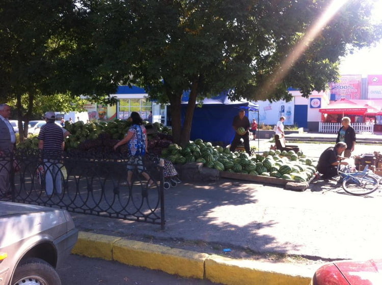 14141506_1113848652029079_7660863629266058405_n