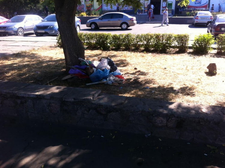 14199602_1113848732029071_7594457262058122086_n